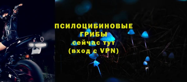 кокс Михайлов