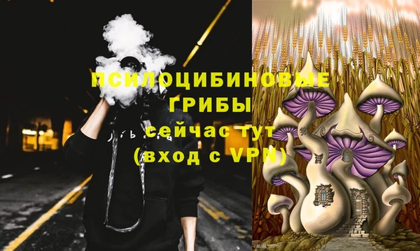 не бодяженный Надым